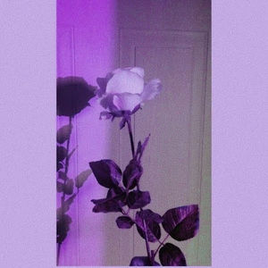 Meet your Posher, Alejandra